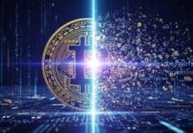 A 12 años del primer halving: la reducción de emisión consolidó el modelo deflacionario de Bitcoin A 12 años del primer halving: la reducción de emisión consolidó el modelo deflacionario de Bitcoin