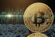 El oro digital del siglo XXI: así describe BlackRock la apuesta real detrás de Bitcoin El oro digital del siglo XXI: así describe BlackRock la apuesta real detrás de Bitcoin