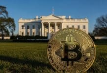 EE.UU. será el nuevo Silicon Valley del Bitcoin: Trump se lanza a dominar cripto e IA EE.UU. será el nuevo Silicon Valley del Bitcoin: Trump se lanza a dominar cripto e IA