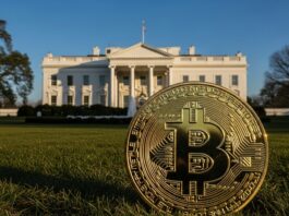 EE.UU. será el nuevo Silicon Valley del Bitcoin: Trump se lanza a dominar cripto e IA
