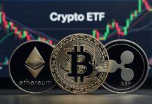 Inversores se alejan de Bitcoin y Ethereum: el dinero fluye hacia XRP y ETFs multiactivo Inversores se alejan de Bitcoin y Ethereum: el dinero fluye hacia XRP y ETFs multiactivo