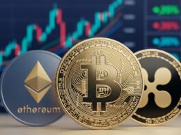 Las alts pierden peso frente a los 2 grandes Bitcoin y Ethereum