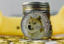 Elon Musk confiesa su debilidad por Dogecoin: “Me gustan los perros y los memes” Elon Musk confiesa su debilidad por Dogecoin: “Me gustan los perros y los memes”