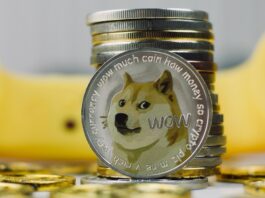 Elon Musk confesses his weakness for Dogecoin: “I like dogs and memes” Elon Musk confesses his weakness for Dogecoin: “I like dogs and memes”
