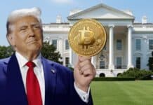 El plan de Donald Trump para salvar la deuda de EEUU se centra en las criptomonedas El plan de Donald Trump para salvar la deuda de EEUU se centra en las criptomonedas