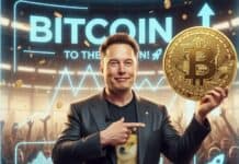 Elon Musk asegura que no promocionará más criptomonedas, pero mantiene su fe en Bitcoin Elon Musk asegura que no promocionará más criptomonedas, pero mantiene su fe en Bitcoin
