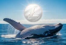 Litecoin se dispara y rompe los USD 100: ¿Qué saben las ballenas que tú no? Litecoin se dispara y rompe los USD 100: ¿Qué saben las ballenas que tú no?