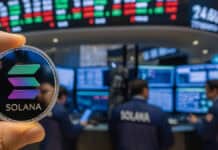 Matt Hougan explica por qué Solana conquista el mercado: estas son las dos razones clave Matt Hougan explica por qué Solana conquista el mercado: estas son las dos razones clave