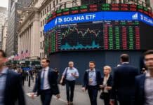 Fiebre por Solana en EE. UU.: Sus ETF logran un récord de 21 días consecutivos en verde Fiebre por Solana en EE. UU.: Sus ETF logran un récord de 21 días consecutivos en verde