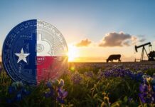 Texas rompe la tradición y añade Bitcoin a su balance Texas rompe la tradición y añade Bitcoin a su balance