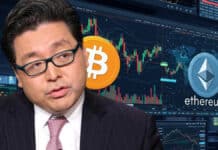 Evita el apalancamiento: el consejo de Tom Lee para sobrevivir al criptoinvierno Evita el apalancamiento: el consejo de Tom Lee para sobrevivir al criptoinvierno