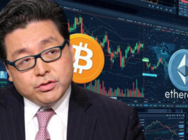 Avoid leverage: Tom Lee's advice for surviving the crypto winter Avoid leverage: Tom Lee's advice for surviving the crypto winter