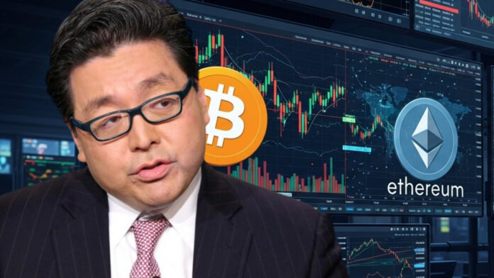 Tom Lee Evita el apalancamiento: el consejo de Tom Lee para sobrevivir al criptoinvierno