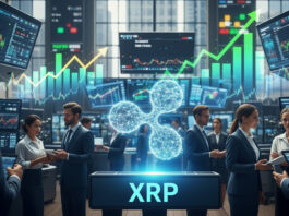 Las ballenas dominan el comercio spot de XRP: no paran de comprar y acumular, según los datos