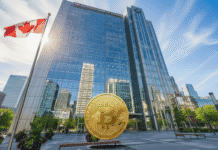 Ni oro ni bonos: El Banco Nacional de Canadá se refugia en la empresa líder en Bitcoin ante la incertidumbre global Ni oro ni bonos: El Banco Nacional de Canadá se refugia en la empresa líder en Bitcoin ante la incertidumbre global
