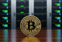 Adam Back anticipa una adopción total: «Todas las empresas integrarán Bitcoin en su tesorería» Adam Back proyecta una adopción total: "Todas las empresas integrarán Bitcoin en su tesorería"