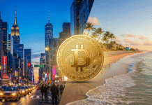 Nueva York y Florida aceleran su carrera por liderar la adopción blockchain en Estados Unidos Nueva York y Florida aceleran su carrera por liderar la adopción blockchain en Estados Unidos