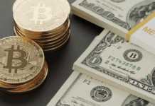 ¿Traición a Bitcoin? Por qué MicroStrategy está acumulando millones en dólares por primera vez ¿Traición a Bitcoin? Por qué MicroStrategy está acumulando millones en dólares por primera vez