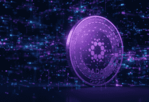 Hoskinson lo predijo: Así es como Midnight está transformando la actividad de Cardano hoy