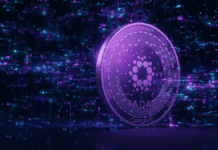 Hoskinson lo predijo: Así es como Midnight está transformando la actividad de Cardano hoy Hoskinson lo predijo: Así es como Midnight está transformando la actividad de Cardano hoy