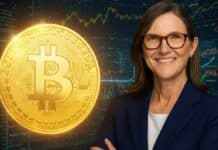 Optimismo en el mercado cripto: Wood asegura que Bitcoin tocará techos históricos en cinco años Optimismo en el mercado cripto: Wood asegura que Bitcoin tocará techos históricos en cinco años