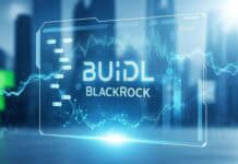 Este fondo de BlackRock reparte 100 millones de dólares a sus inversores usando solo blockchain Este fondo de BlackRock reparte 100 millones de dólares a sus inversores usando solo blockchain