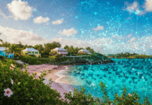 Ni bancos ni fiat: Esta isla paradisíaca ha decidido digitalizar toda su economía con cripto Ni bancos ni fiat: Esta isla paradisíaca ha decidido digitalizar toda su economía con cripto