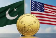 World Liberty Financial enfrenta el escrutinio del Senado mientras Pakistán integra la USD1 a su economía World Liberty Financial enfrenta el escrutinio del Senado mientras Pakistán integra la USD1 a su economía