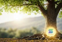 WisdomTree elige la infraestructura de alto rendimiento de Solana para sus fondos del mercado monetario WisdomTree elige la infraestructura de alto rendimiento de Solana para sus fondos del mercado monetario