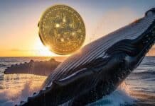 Una entidad compró Bitcoin en 2019 y movilizó esta fortuna tras 7 años de silencio Una entidad compró Bitcoin en 2019 y movilizó esta fortuna multimillonaria tras 7 años de silencio