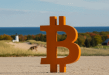 Los empleados públicos de Michigan podrían cobrar sus salarios en Bitcoin a partir de 2027 Los empleados públicos de Michigan podrían cobrar sus salarios en Bitcoin a partir de 2027