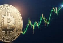Olvídate de la volatilidad: Los holders a largo plazo de Bitcoin anticipan un nuevo rally Olvídate de la volatilidad: Los holders a largo plazo de Bitcoin anticipan un nuevo rally