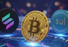 Mercado cripto: ¿Por qué todos hablan de SUI, SOL y BTC hoy? Mercado cripto: ¿Por qué todos hablan de SUI, SOL y BTC hoy?