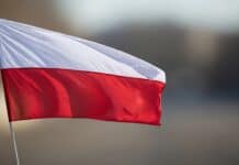 Polonia frena MiCA por segunda vez: ¿Por qué el presidente Nawrocki rechaza la regulación cripto? Polonia frena MiCA por segunda vez: ¿Por qué el presidente Nawrocki rechaza la regulación cripto?