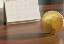 Ripple revela por qué 2026 será el año de la adopción masiva de XRP Ripple revela por qué 2026 será el año de la adopción masiva de XRP