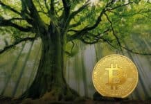 WisdomTree asegura que Bitcoin ha entrado en una fase de madurez institucional WisdomTree asegura que Bitcoin ha entrado en una fase de madurez institucional