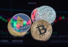 ¿Se acerca la ‘altseason’? El interés social por las altcoins toca mínimos, pero esto podría ser una señal ¿Se acerca la 'altseason'? El interés social por las altcoins toca mínimos, pero esto podría ser una señal