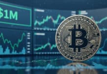 El CIO de Bitwise cambió de opinión sobre el futuro precio de Bitcoin: proyecta una valoración de un millón de dólares El CIO de Bitwise cambió de opinión sobre el futuro precio de Bitcoin: proyecta una valoración de un millón de dólares