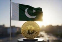 Pakistán sigue los pasos de Dubai: Así funcionará su nuevo regulador para el mercado cripto Pakistán sigue los pasos de Dubai: Así funcionará su nuevo regulador para el mercado cripto