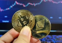 Más allá del precio: El récord de carteras institucionales de Bitcoin convive con la masividad de Ethereum Más allá del precio: El récord de carteras institucionales de Bitcoin convive con la masividad de Ethereum