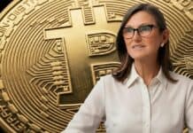 Bitcoin frente a las stablecoins: La razón por la que Cathie Wood redujo su precio objetivo para la cripto líder Bitcoin frente a las stablecoins: La razón por la que Cathie Wood redujo su precio objetivo para la cripto líder