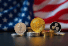 La Casa Blanca rechaza las normas bancarias para las stablecoins y prioriza la innovación digital La Casa Blanca rechaza las normas bancarias para las stablecoins y prioriza la innovación digital