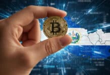 1 BTC al día: El Salvador actualiza sus reservas y lanza un ambicioso plan escolar 1 BTC al día: El Salvador actualiza sus reservas y lanza un ambicioso plan escolar