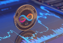 Las 3 claves detrás de la subida de precio de Internet Computer (ICP) hoy Las 3 claves detrás de la subida de precio de Internet Computer (ICP) hoy