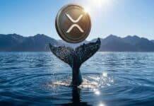 Las ballenas de XRP compran 20 millones de tokens en una semana: qué dicen los datos de los analistas Las ballenas de XRP compran 20 millones de tokens en una semana: qué dicen los datos de los analistas