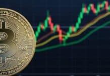 Bernstein anticipa un rally histórico en las criptomonedas impulsado por la madurez del ecosistema Bernstein anticipa un rally histórico en las criptomonedas impulsado por la madurez del ecosistema