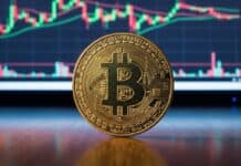 Cathie Wood asegura que el precio de Bitcoin ya no volverá a caer como antes Cathie Wood asegura que el precio de Bitcoin ya no volverá a caer como antes