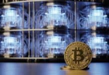 Adam Back advierte: Bitcoin no debe apresurarse contra la computación cuántica y esta es la razón Adam Back advierte: Bitcoin no debe apresurarse contra la computación cuántica y esta es la razón