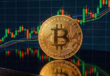 Bitcoin rompe los $76.000: La señal en el suministro que pocos están viendo Bitcoin rompe los $76.000: La señal en el suministro que pocos están viendo