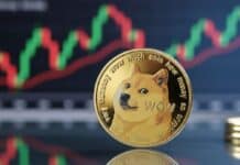 Llega el Doge Day 2026 y el mercado está en alerta: 3 factores que definirán si DOGE despega o se desploma este mes Llega el Doge Day 2026 y el mercado está en alerta: 3 factores que definirán si DOGE despega o se desploma este mes